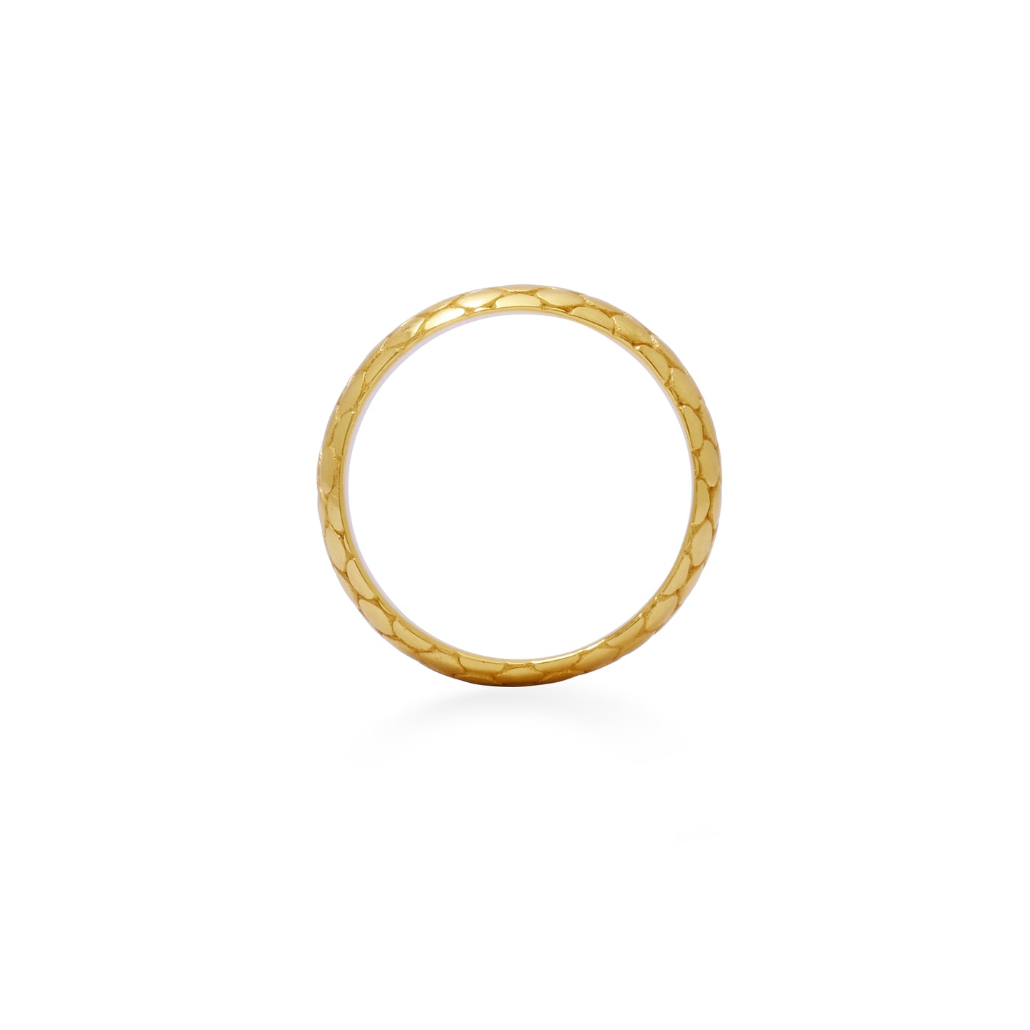 Cobra band gold - Limited Edition