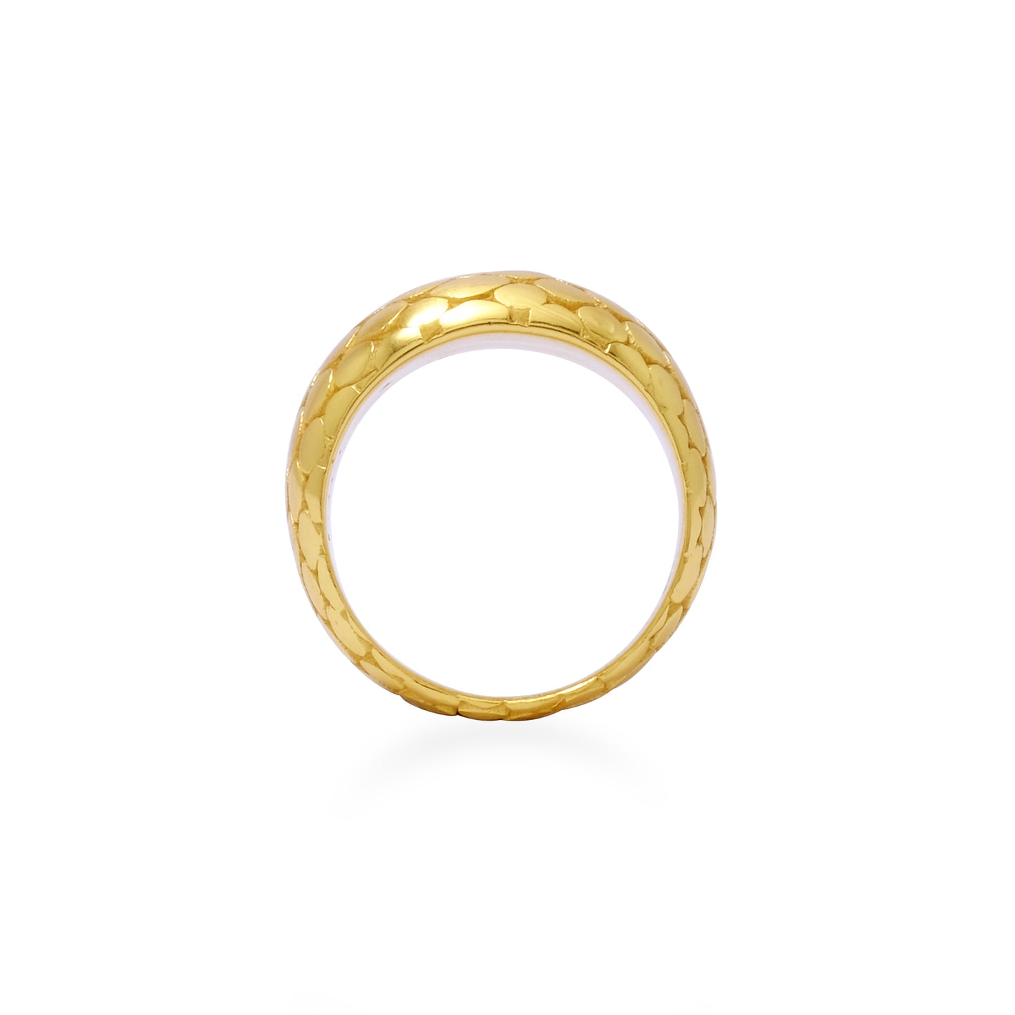 Cobra dome gold - Limited Edition